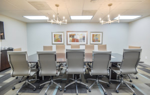 Large conference room professional 081716 1